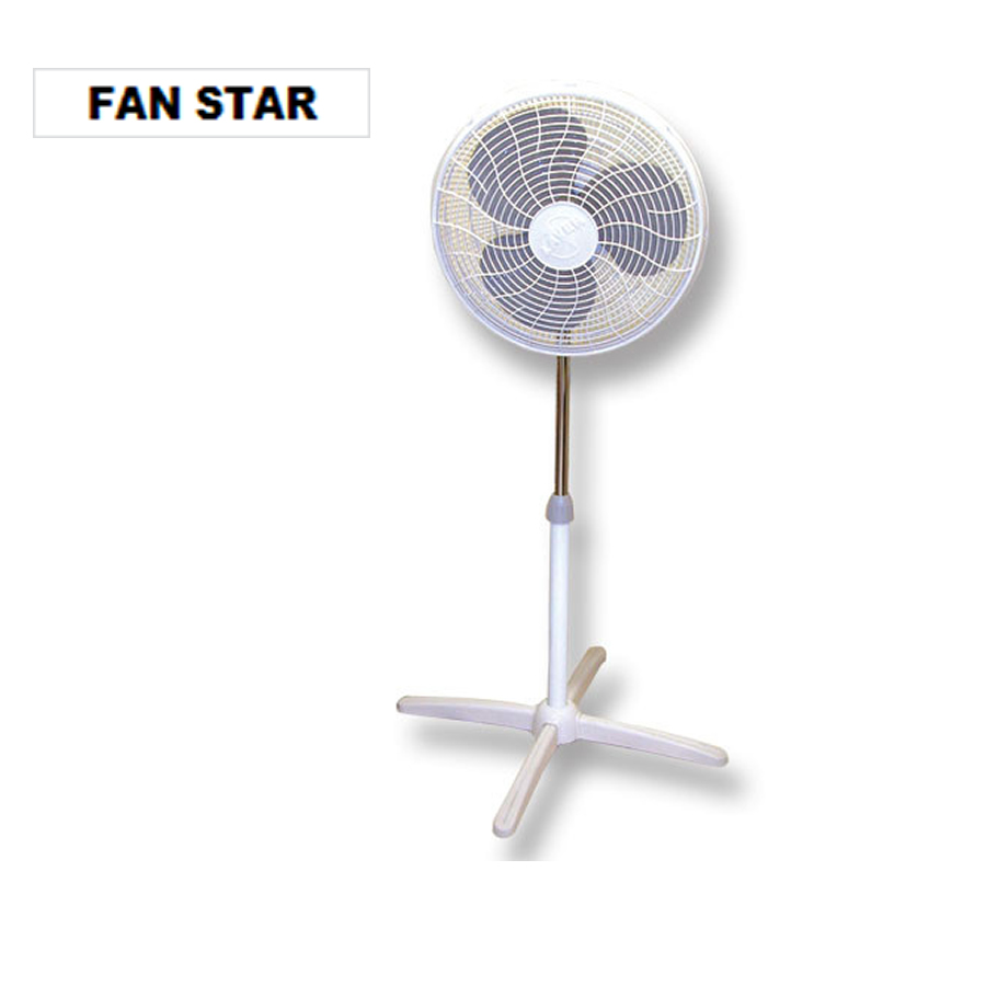 Fan Star